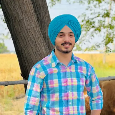 Dinesh J
